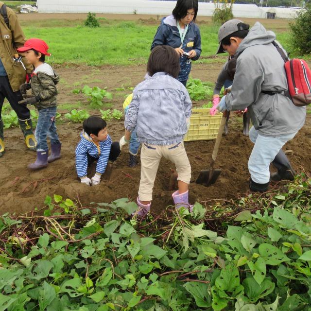 親子さとやま